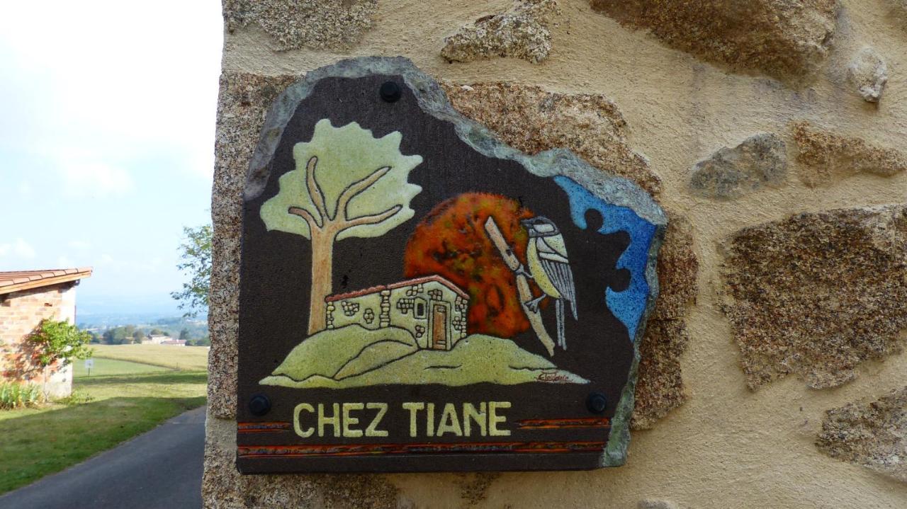 Chez Tiane Puy De Dome Bed & Breakfast Saint-Flour  Exterior photo